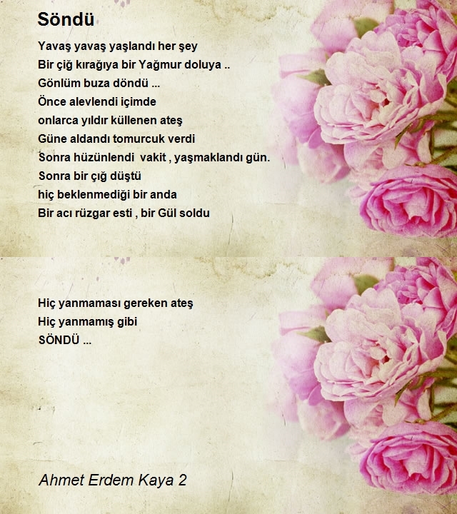 Ahmet Erdem Kaya 2