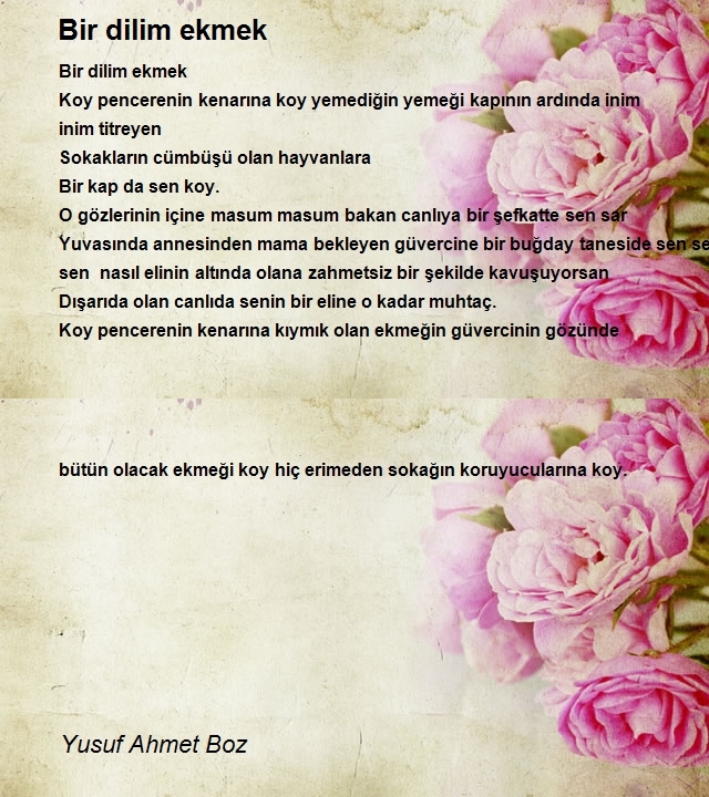 Yusuf Ahmet Boz