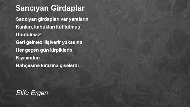 Elife Ergan