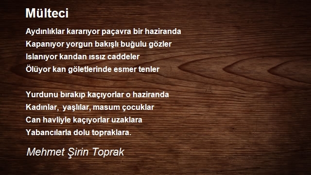 Mehmet Şirin Toprak