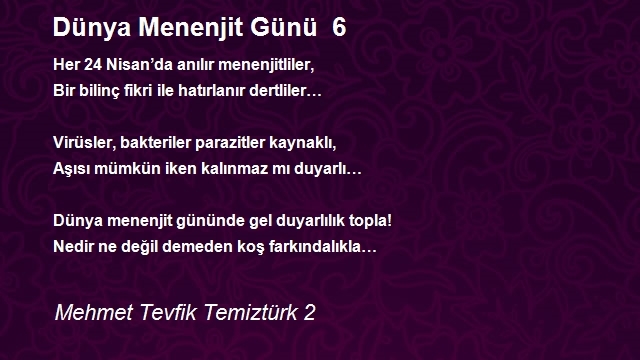 Mehmet Tevfik Temiztürk 2