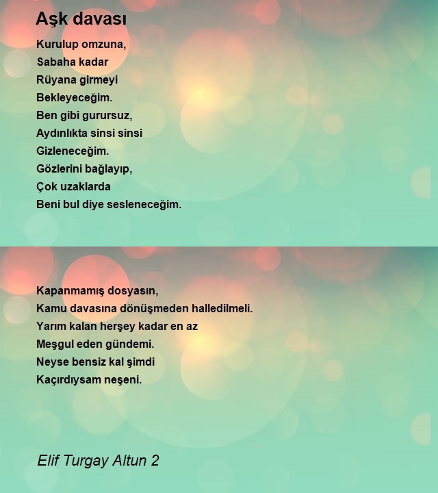 Elif Turgay Altun 2