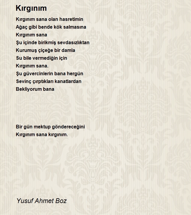 Yusuf Ahmet Boz