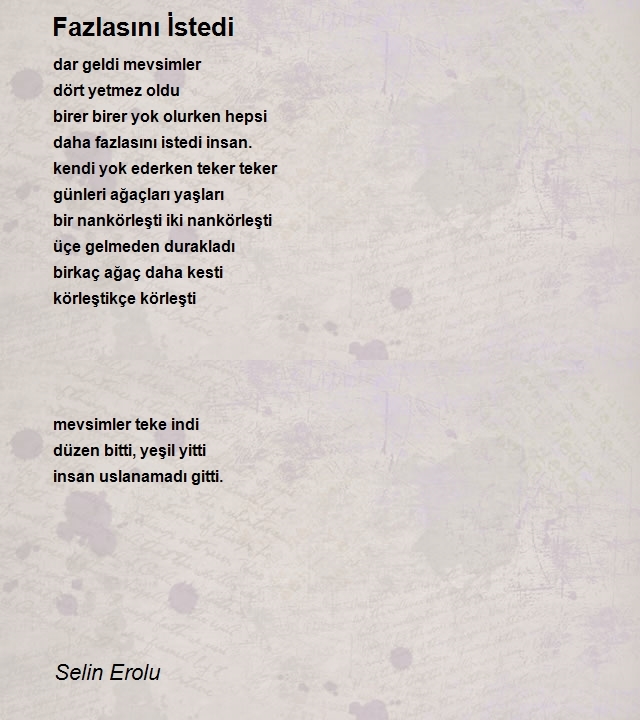 Selin Erolu