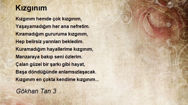 Gökhan Tan 3