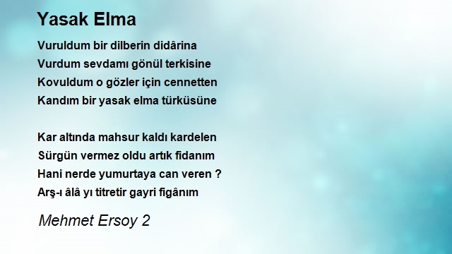 Mehmet Ersoy 2