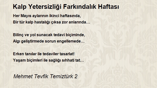 Mehmet Tevfik Temiztürk 2