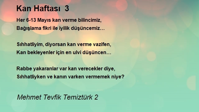 Mehmet Tevfik Temiztürk 2