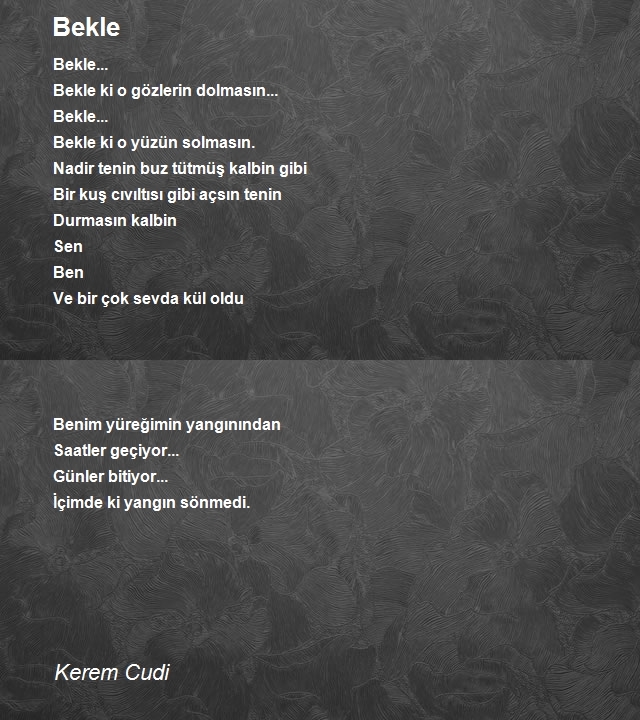 Kerem Cudi