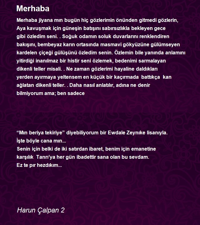 Harun Çalpan 2