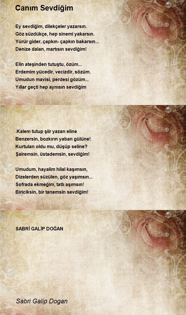 Sabri Galip Dogan