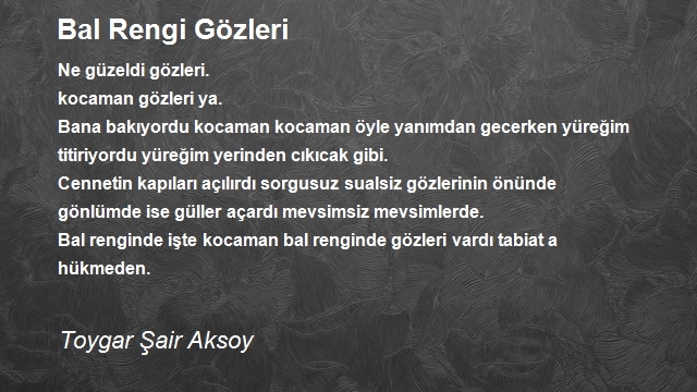 Toygar Şair Aksoy