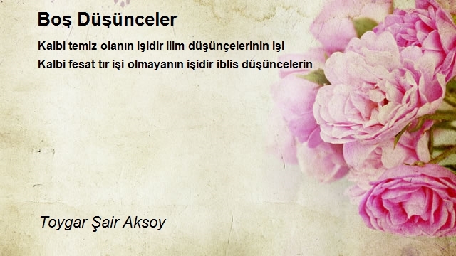 Toygar Şair Aksoy