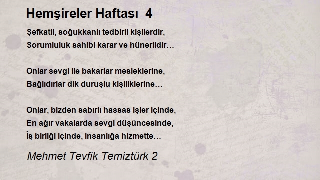 Mehmet Tevfik Temiztürk 2