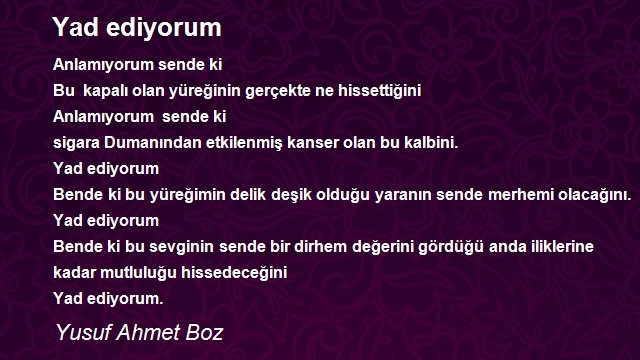 Yusuf Ahmet Boz