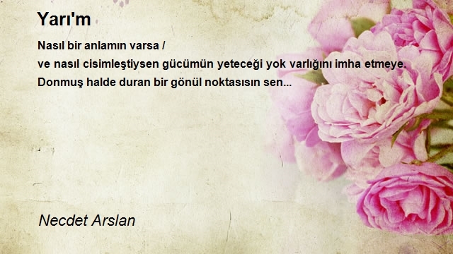 Necdet Arslan