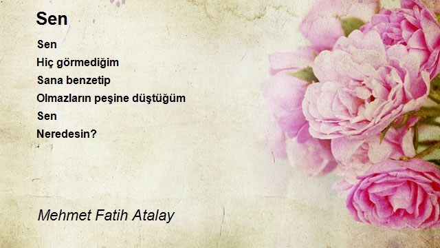 Mehmet Fatih Atalay