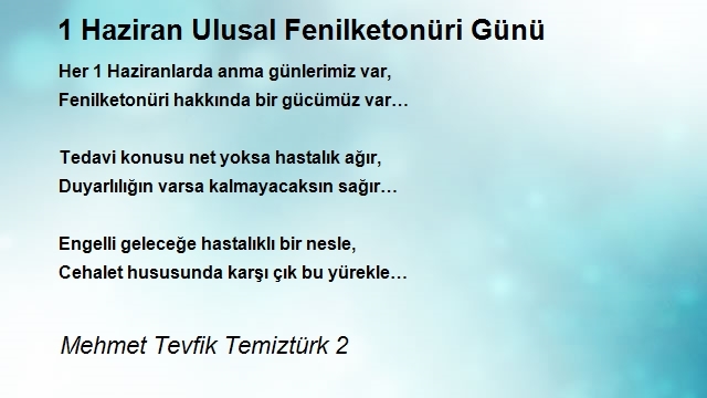 Mehmet Tevfik Temiztürk 2