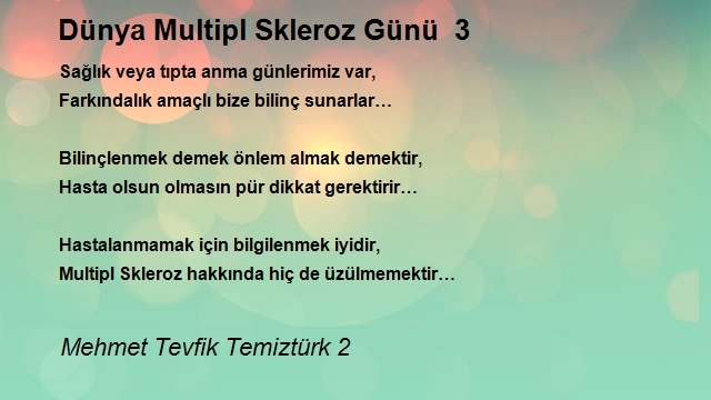 Mehmet Tevfik Temiztürk 2