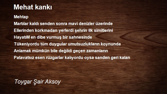 Toygar Şair Aksoy