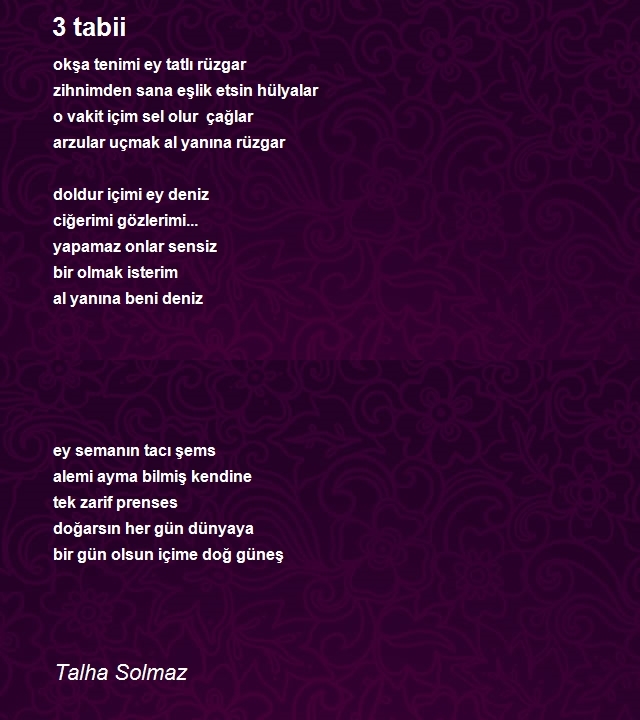 Talha Solmaz