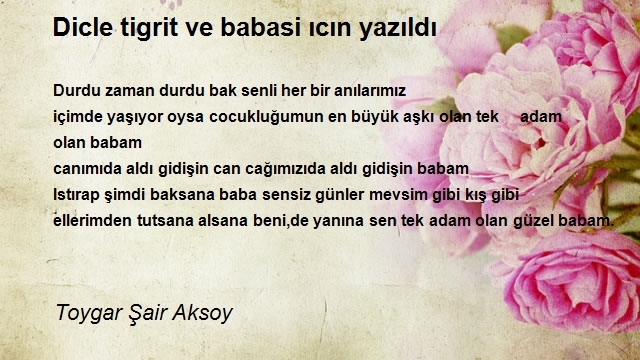 Toygar Şair Aksoy