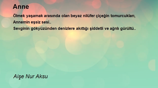 Aişe Nur Aksu