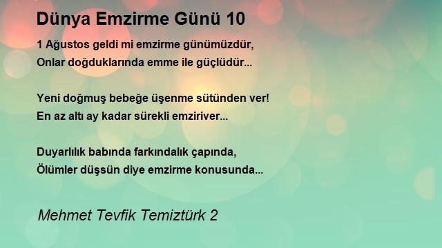 Mehmet Tevfik Temiztürk 2