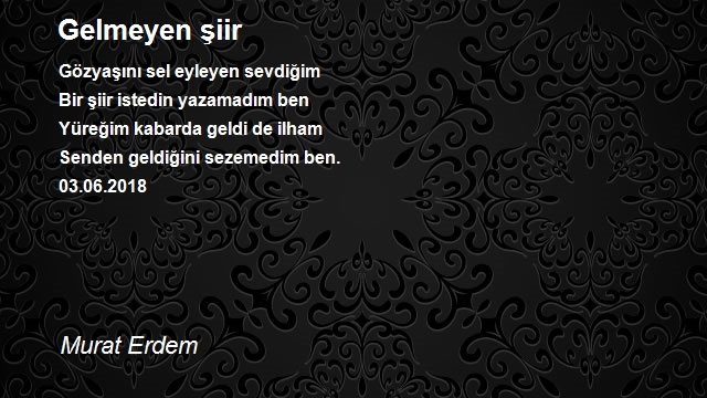 Murat Erdem