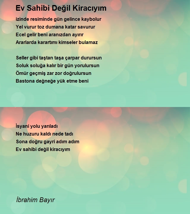 İbrahim Bayır