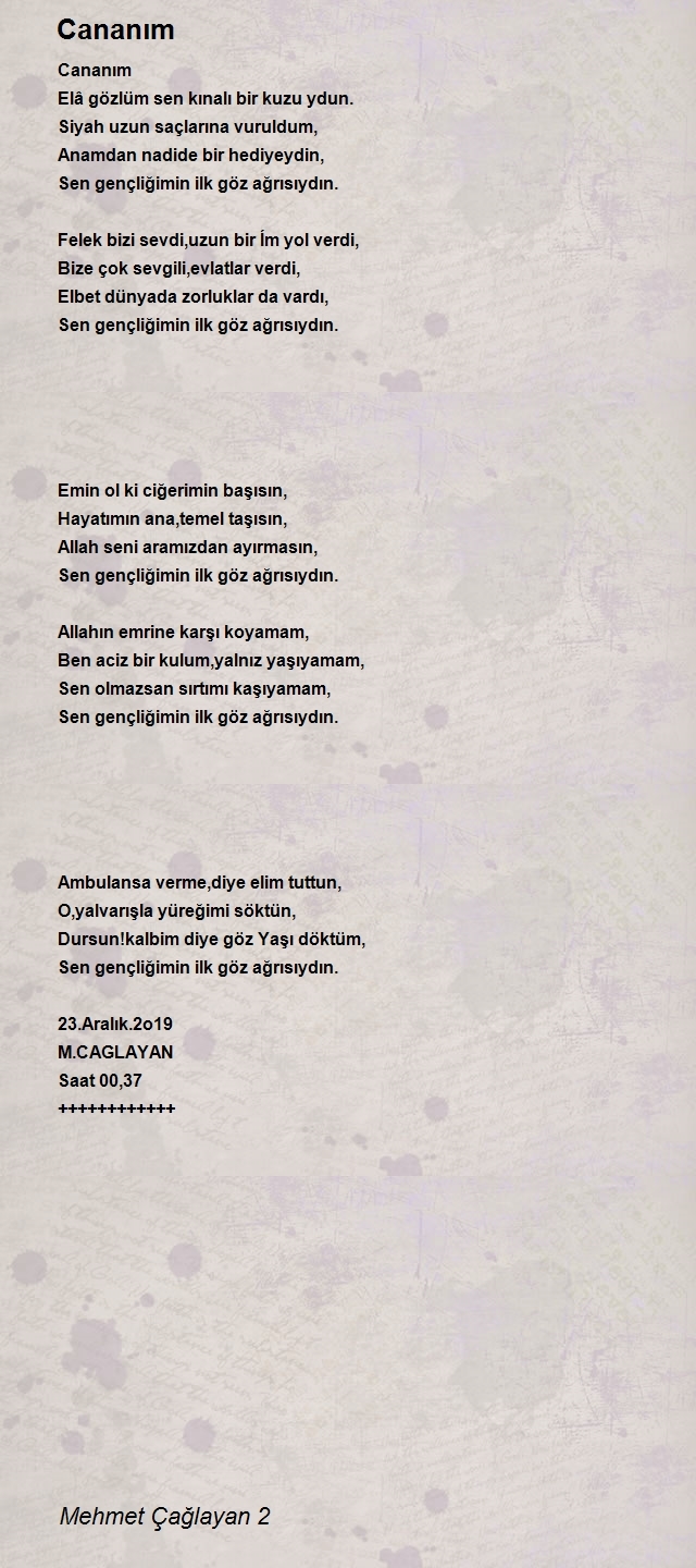 Mehmet Çağlayan 2