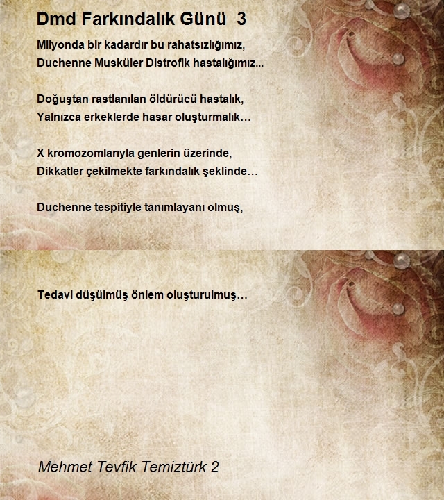 Mehmet Tevfik Temiztürk 2