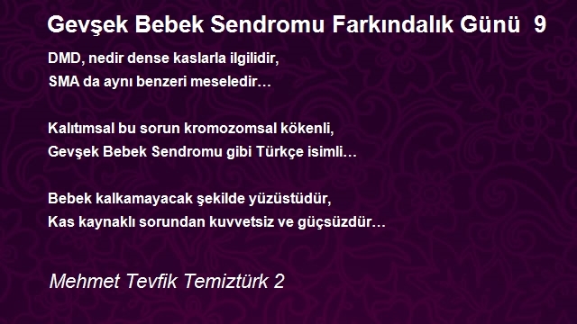 Mehmet Tevfik Temiztürk 2