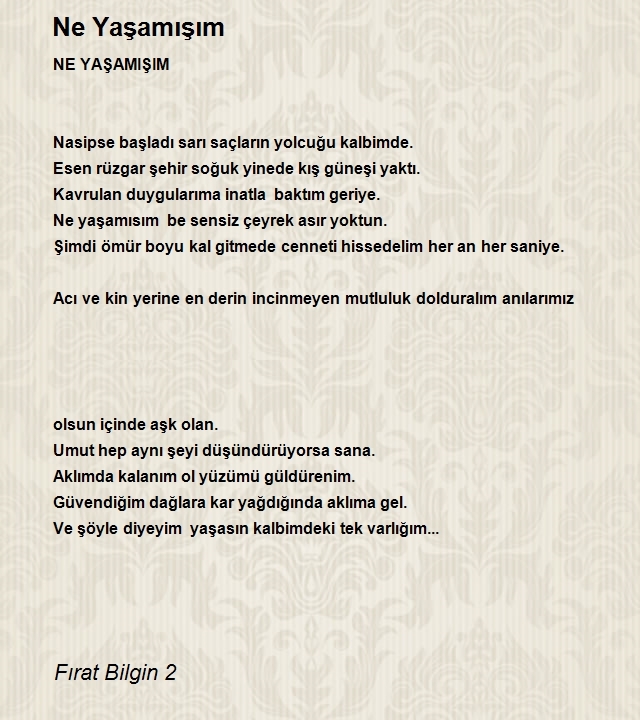 Fırat Bilgin 2