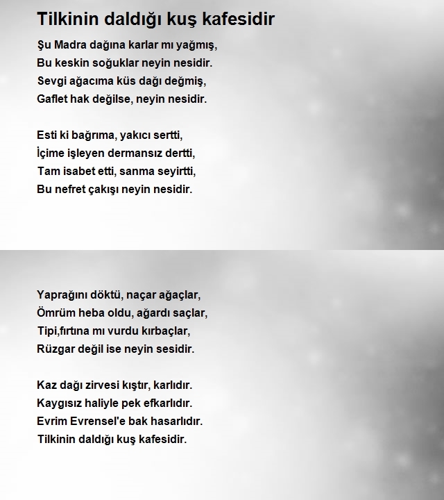 Evrim Evrensel