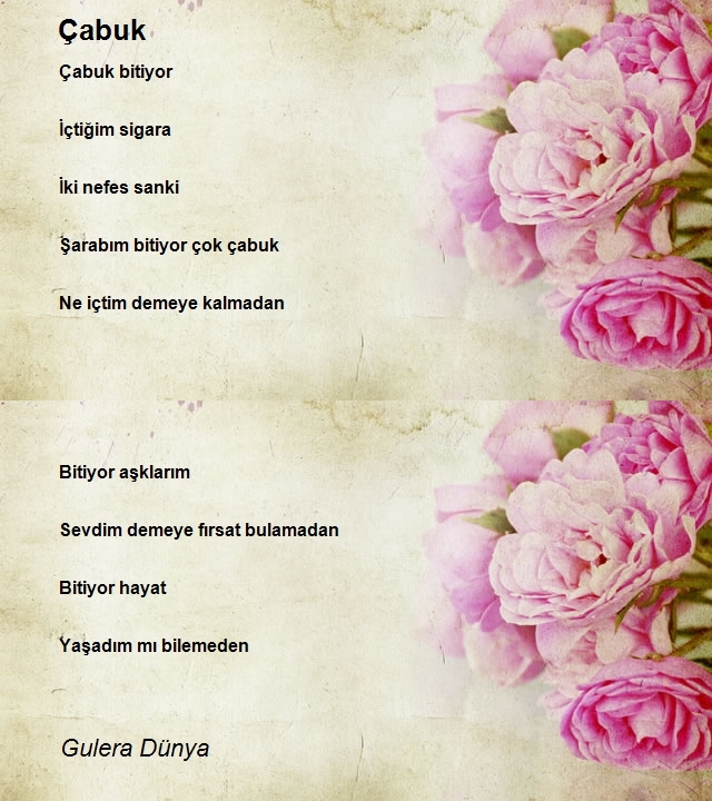 Gulera Dünya