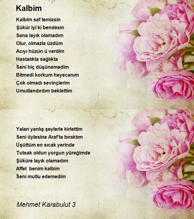 Mehmet Karabulut 3