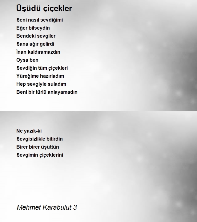 Mehmet Karabulut 3