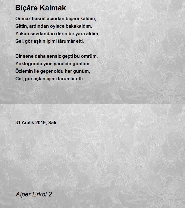 Alper Erkol 2