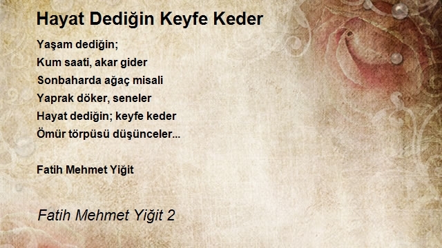 Fatih Mehmet Yiğit 2