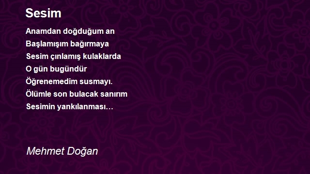 Mehmet Doğan