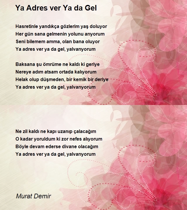 Murat Demir