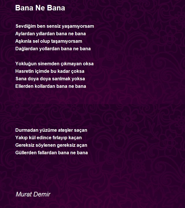 Murat Demir