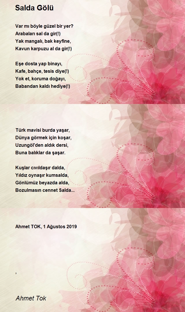 Ahmet Tok