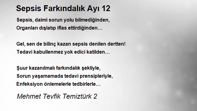 Mehmet Tevfik Temiztürk 2