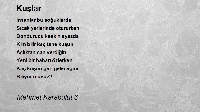 Mehmet Karabulut 3