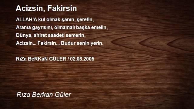 Rıza Berkan Güler