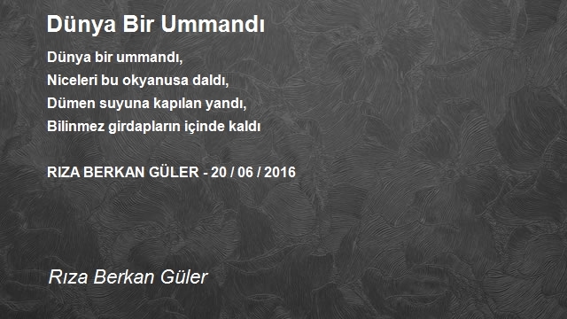 Rıza Berkan Güler