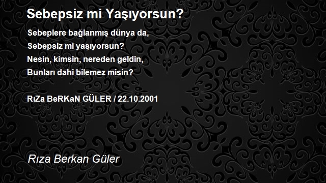 Rıza Berkan Güler