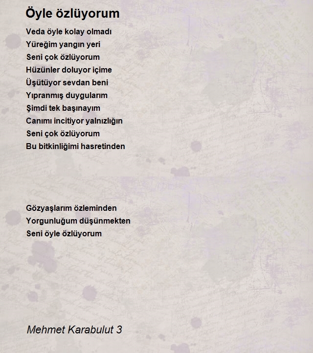 Mehmet Karabulut 3